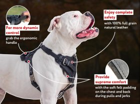 Best Training Agitation / Protection Leather Dog Harness for Large Breeds Best Training Agitation / Protection Leather Dog Harness for Large Breeds
