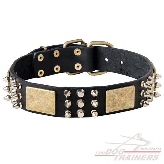 stylish leather dog collars