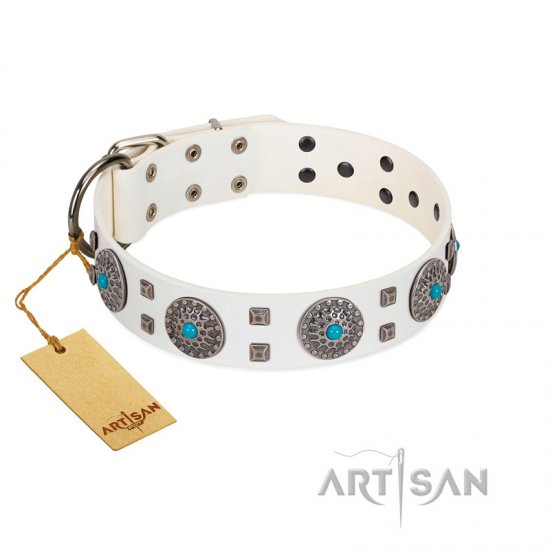 sapphire dog collar