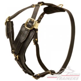 Exclusive Adjustable Padded Leather Dog Harness Exclusive Adjustable Padded Leather Dog Harness