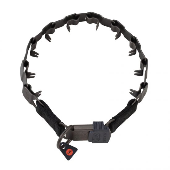 hs prong collar