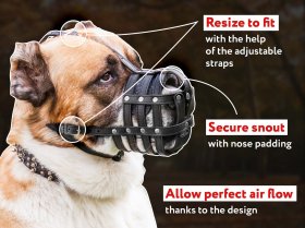 Leather Mesh Basket Dog Muzzle with Free Air Flow Leather Mesh Basket Dog Muzzle with Free Air Flow