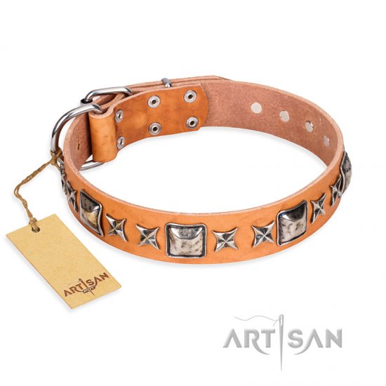 female dog collars and leashes