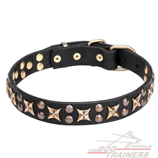 30 inch dog collar best sale