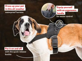 Lightweight Nylon Canine Harness for Tracking-Pulling Activties Lightweight Nylon Canine Harness for Tracking-Pulling Activties