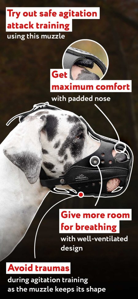 soft dog muzzle australia