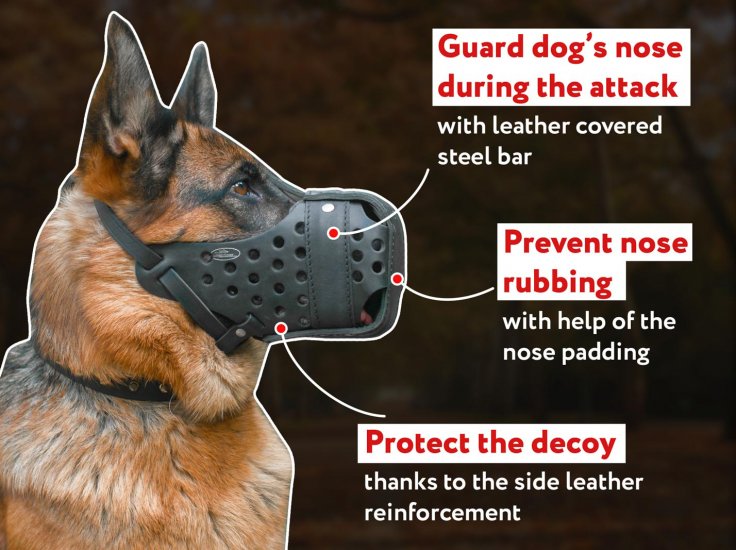 is it bad to muzzle a dog