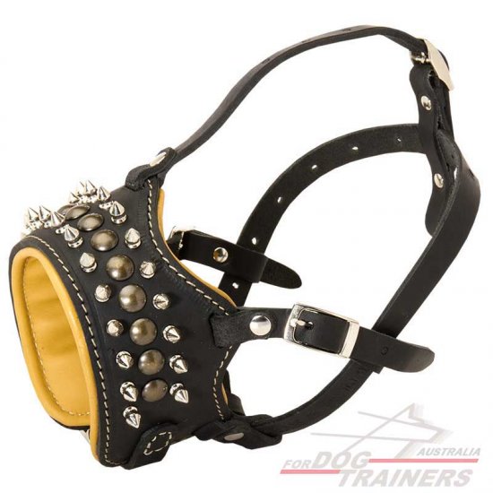 Designer dog hot sale muzzles