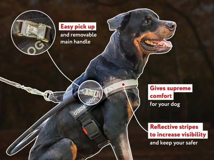 guide dog leash