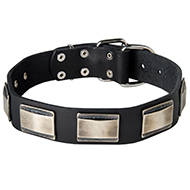 Wide Leather Dog Collar for Walking Wide Leather Dog Collar for Walking