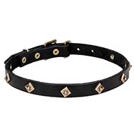 Leather Dog Collar 'Rhombi' with Brass Decorations Leather Dog Collar 'Rhombi' with Brass Decorations