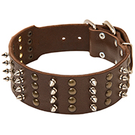 Buy Extra Wide Dog Collars | 2 inches Leather Spiked Collar