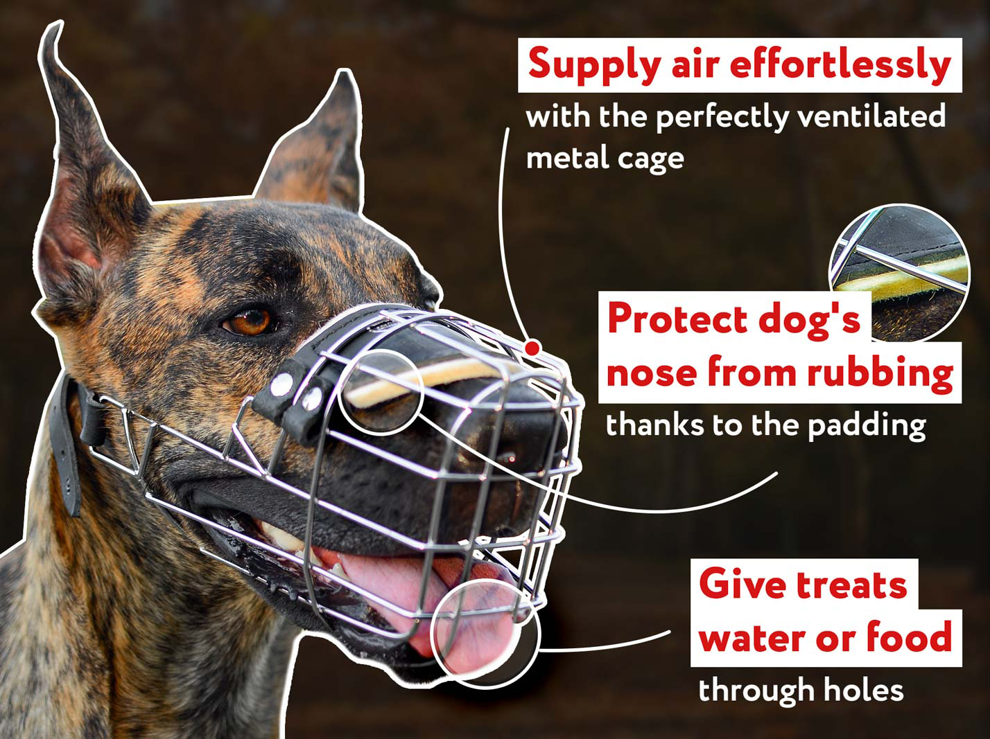 Basket store muzzle australia