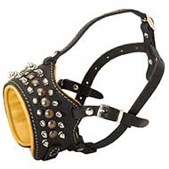 Designer Leather Dog Muzzle Padded Inside with Spikes and Studs Designer Leather Dog Muzzle Padded Inside with Spikes and Studs