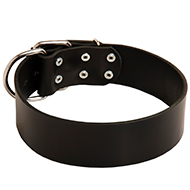 2 inch wide leather dog collars sale