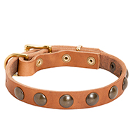 Studded Leather Dog Collar for Walking Studded Leather Dog Collar for Walking