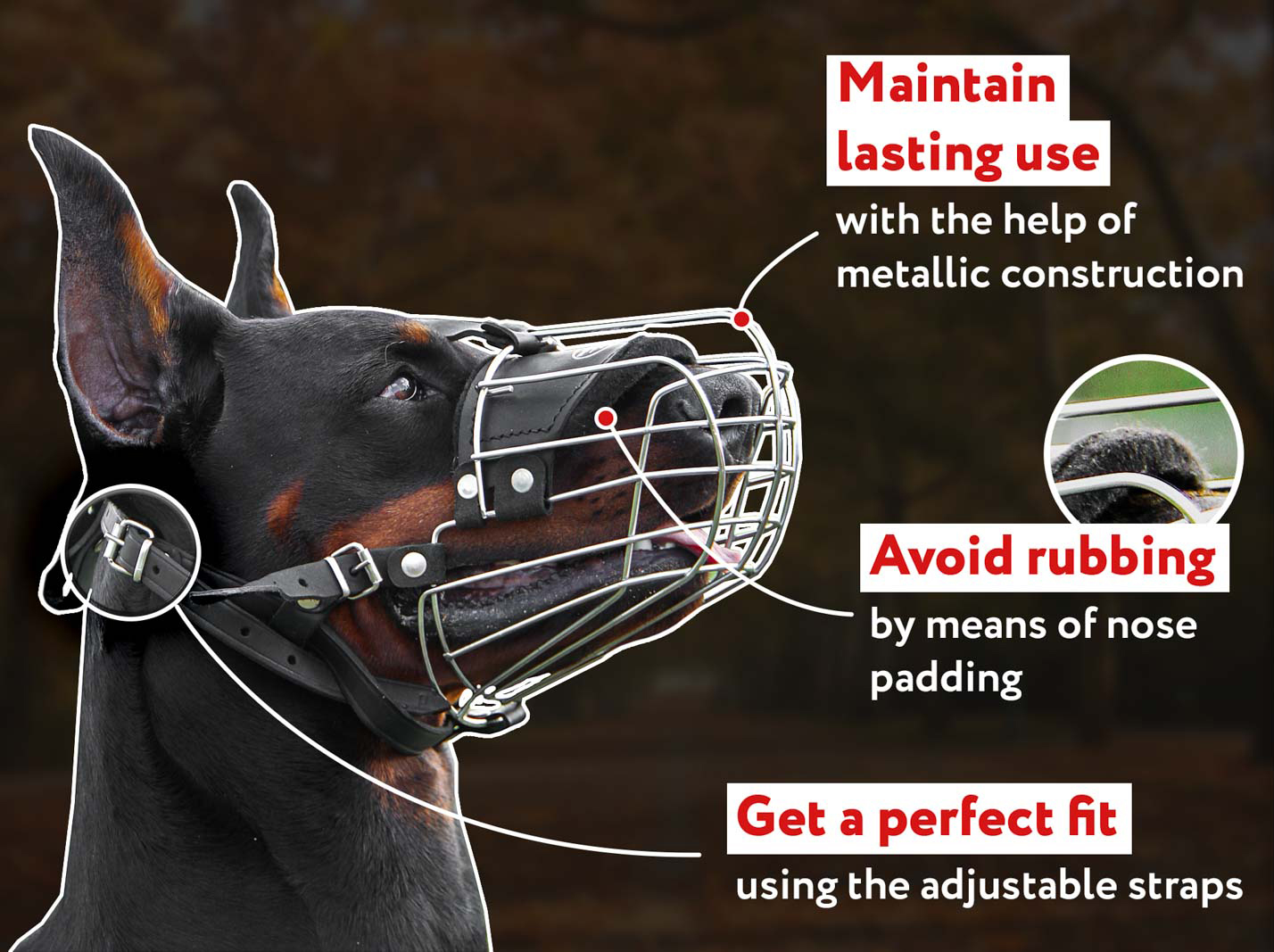 muzzle training to stop biting
