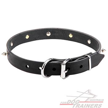 Reliable Buckle on Leather Dog Collar