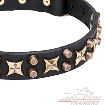 Bronze plated stars and pyramids on leather dog collar