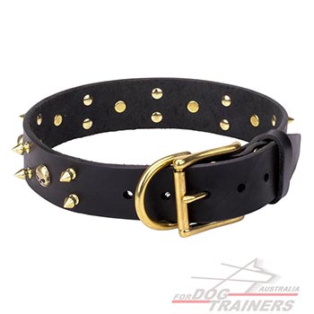 Shiny Brass hardware for black leather dog collar 