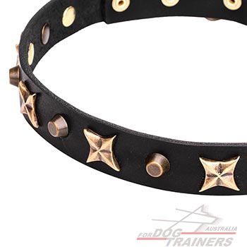 Old Bronze-plated Stars and Studs on Genuine Leather Dog Collar