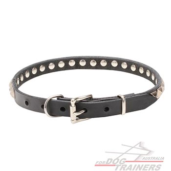Collar for dogs with chrome plated hardware
