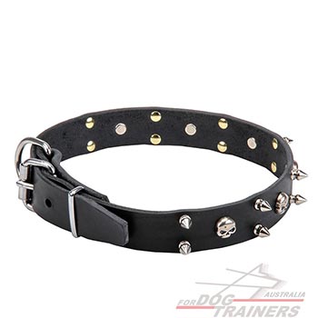 Dog Collar Made of Leather