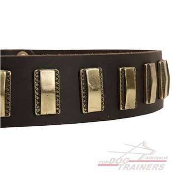 Dog collar with brass plates adornment
