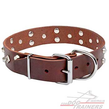 New Leather Dog Collar with Shining Nickel Plated Hardware 
