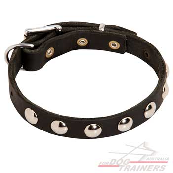 Leather Collar with Gorgeous Nickel Decorations