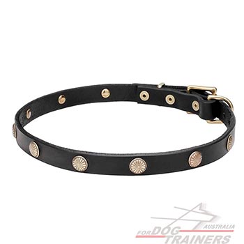 Walking Leather Dog Collar with Decorations
