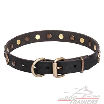 Leather Pet Collar with Old Bronze-plated Hardware