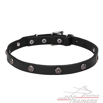Natural leather dog collar with studs