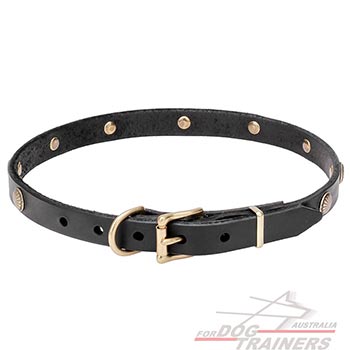 Natural Leather Dog Collar with Strong Buckle and D-Ring