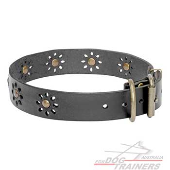 Beautiful Leather Dog Collar for Your Pet