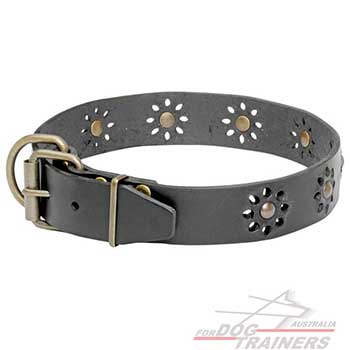 Dog Leather Collar with Non-Rusting Brass Fittings