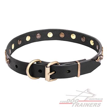Leather Collar with Old Bronze-plated Hardware