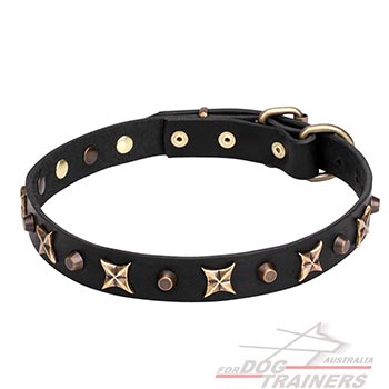 Leather dog collar with bronze plated decorations