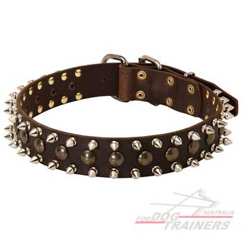 Stylish leather spiked collar
