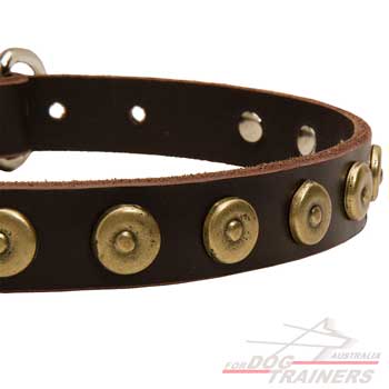 Dog collar decorated with brass circles