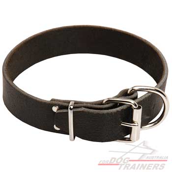 Leather dog collar smooth