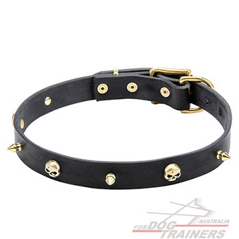 Leather collar for daily dog walking in style