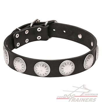  Dog Collar with Chrome Plated Round Circles