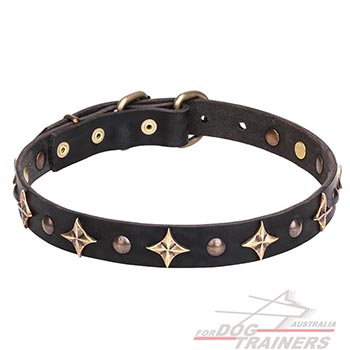 Leather Dog Collar with Bronze Plated Decorations