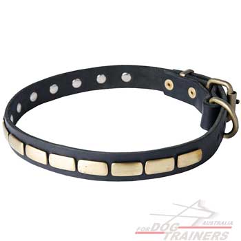 Dog collar of leather with brass decoration