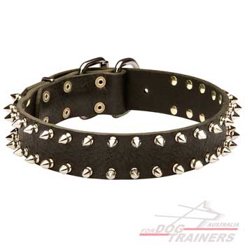 Leather dog collar with spiked decoration