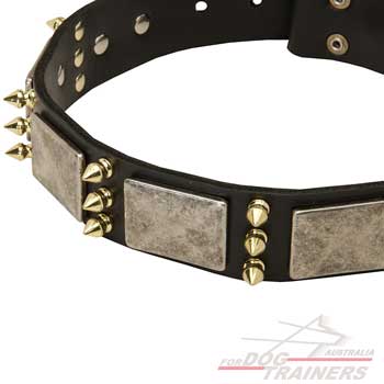 Big Dogs War Collar with Plates and Brass Spikes