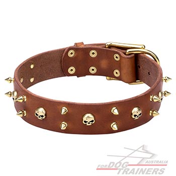 Tan leather collar with skulls and spikes