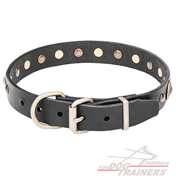  Decorated Dog Collar with Brass Buckle and D-Ring