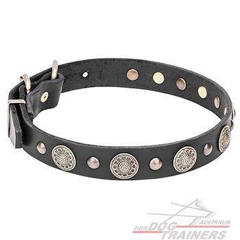 Natural Leather Dog Collar Decorated with Brass Round Studs